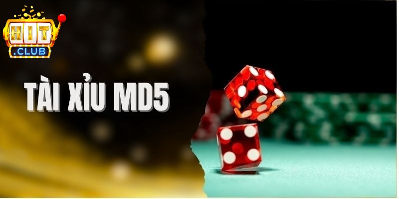 Tài Xỉu MD5 Hitclub - Phiên Bản Cá Cược Độc Đáo Hiện Nay 3 Phương pháp nuôi cầu gấp thếp trong Tài Xỉu MD5 hiệu quả